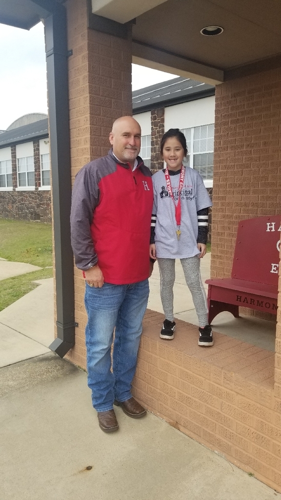 Elementary Principal